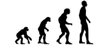Evolutiva / Sociobiológica