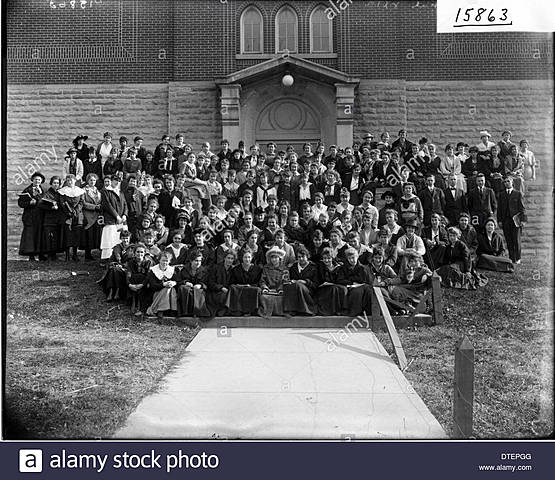 Tradicional / David Snedden