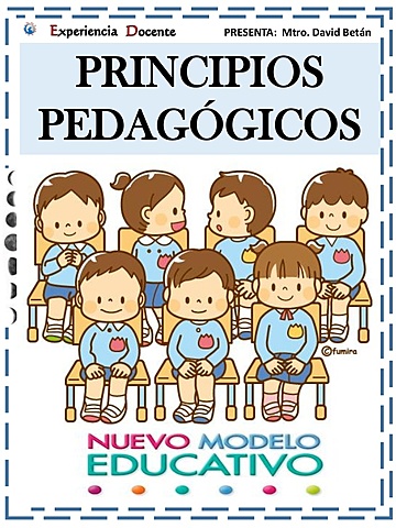 PRINCIPIOS PEDAGÓGICOS según Flórez (2001)