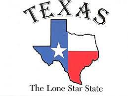 Ante el avance inminente del ejercito de santa Anna, los texanos proclamaron su independencia