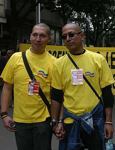 Las parejas homosexuales gozan de los mismos derechos patrimoniales