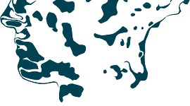 Timeline: Современные открытия в математике