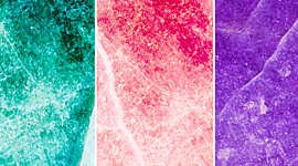 Timeline: ESTRUCTURA DEL ESTADO MEXICANO