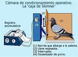 La caja de Skinner