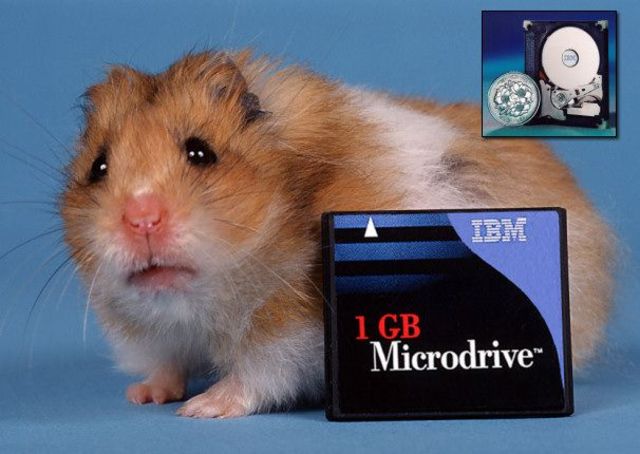 Unidad de disco duro diminuto.