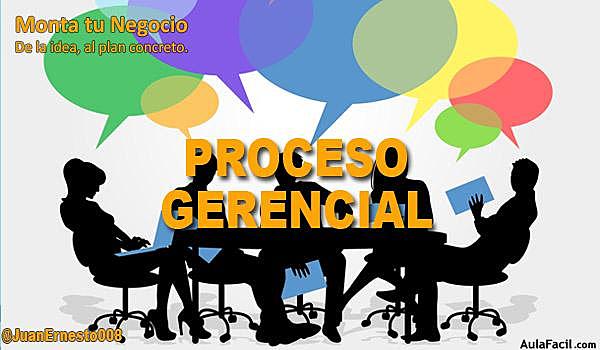 Proceso  gerencia