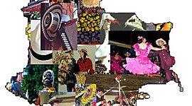 Timeline: Diversidad