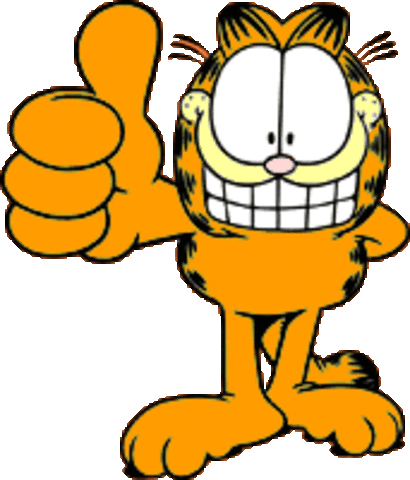 Mi último año de U