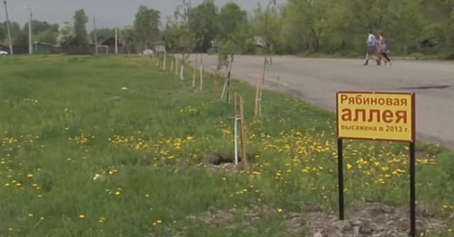 Рябиновая аллея