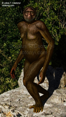 Ardipithecus Ramidus