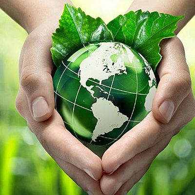 Timeline: Recorrido histórico de la Educación Ambiental