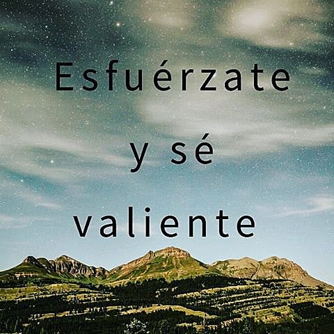 Esfuerzo y perseverancia