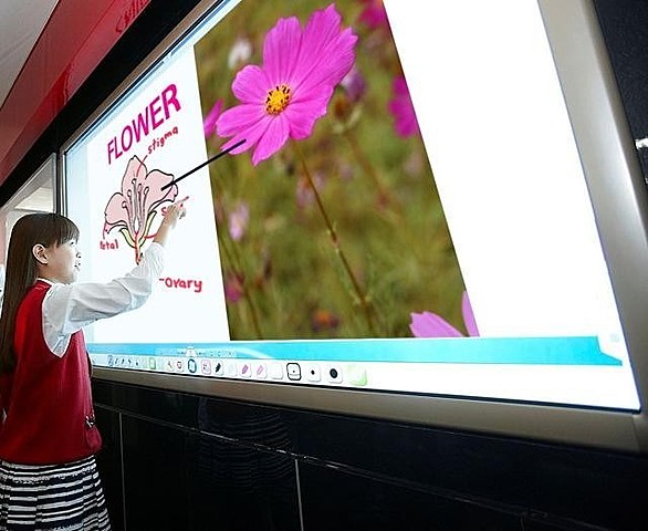 pizarrón interactivo