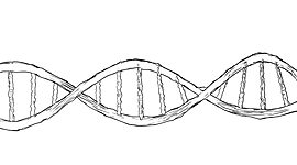 Timeline: Οι επιστήμονες του DNA...