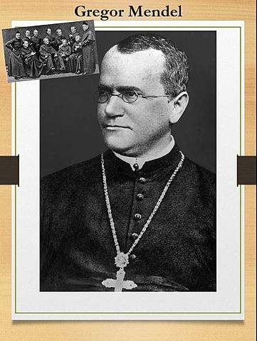 Gregor Mendel