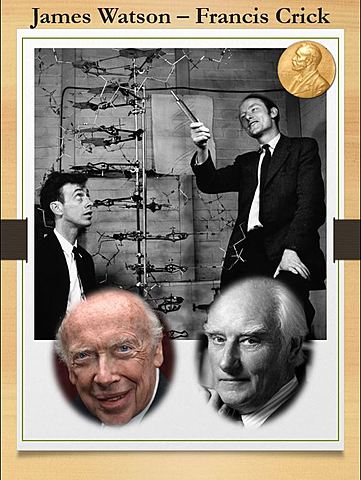 James Watson – Francis Crick