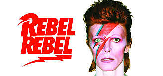 rebbel rebbel module