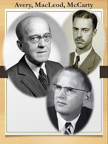 Avery, MacLeod, McCarty