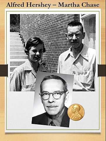 Alfred Hershey – Martha Chase