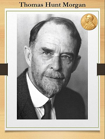 Thomas Hunt Morgan