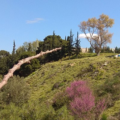 Timeline: Μια ιστορία στην πόλη με το ποτάμι