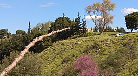 Timeline: Μια ιστορία στην πόλη με το ποτάμι