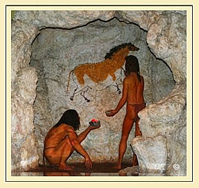 DIBUJOS EN LAS CAVERNAS