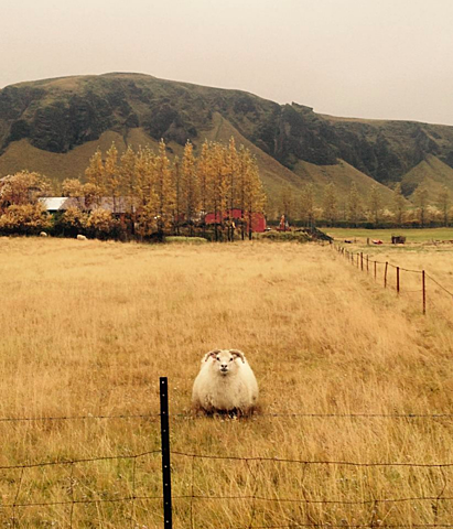 Kirkjubæjarklaustur