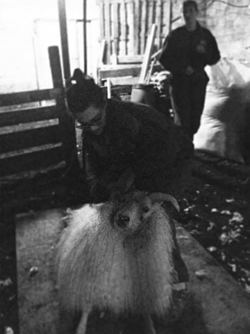 Kirkjubæjarklaustur