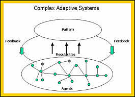 Sistema adaptativo complejo (CAS)