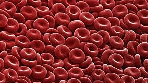 Alfred Decastello discovered fourth blood type: AB