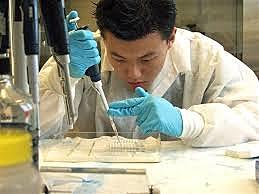 Scientists began developing blood-screening test for infectious diseases