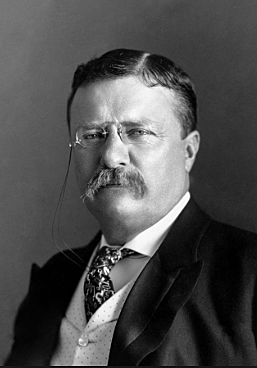 Teddy Roosevelt