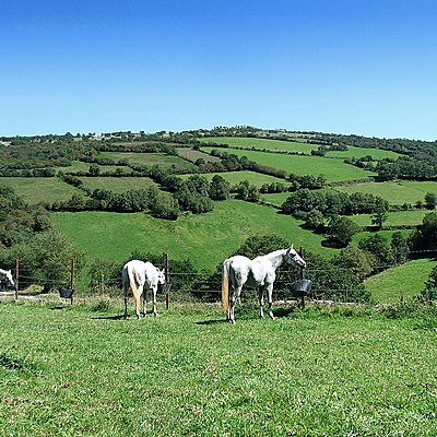 Timeline: Programas Sociales dirigidos al Campo
