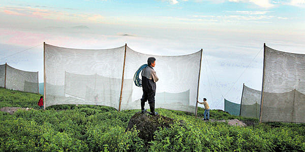 Apoyo a Pequeños Productores
