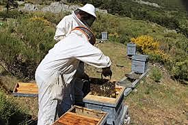 Programas Integrales de Bienestar