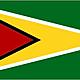 Guyana flag