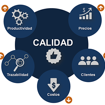 Timeline: HISTORIA DE LA CALIDAD