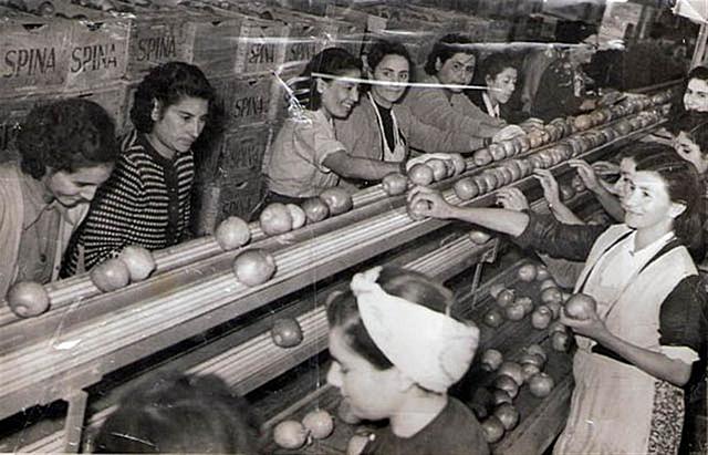 surgimiento del supervisor