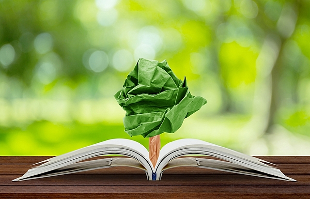 Aparición de la educación ambiental