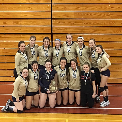 volleyball state championship