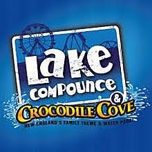 First Time Going to an Amusement Park