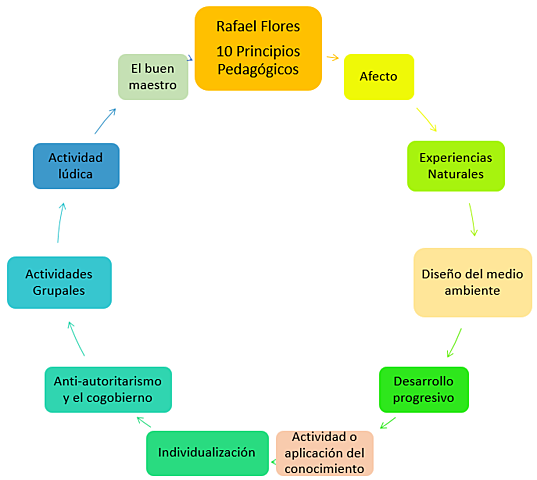 Principios pedagógicos