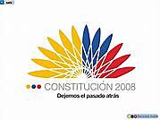 CONSTITUCION 2008