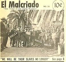 NFWA Newspaper Started