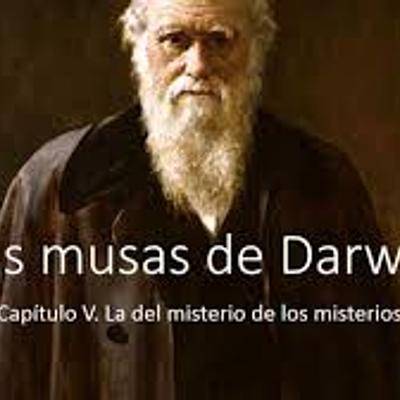 Timeline: LAS MUSAS DE DARWIN II PARTE