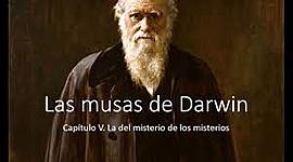 Timeline: LAS MUSAS DE DARWIN II PARTE