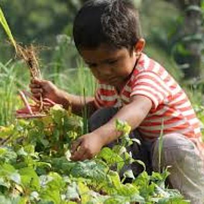 Timeline: educación ambiental