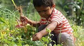 Timeline: educación ambiental