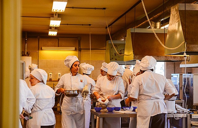 Nuevo plan de estudios